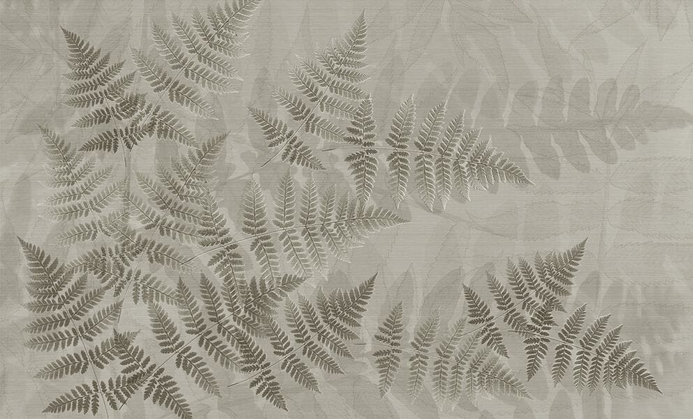 Обои с рисунком N.O.W. Edizioni NATURE / SHADOW FERN ARCH-00082687 - Вид №2