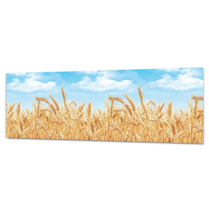 STLM-0253875 Стеновая панель матовая Пшеница 200x60x0.15 см ПВХ цвет разноцветный 90499190 ФАРТУКОФФ