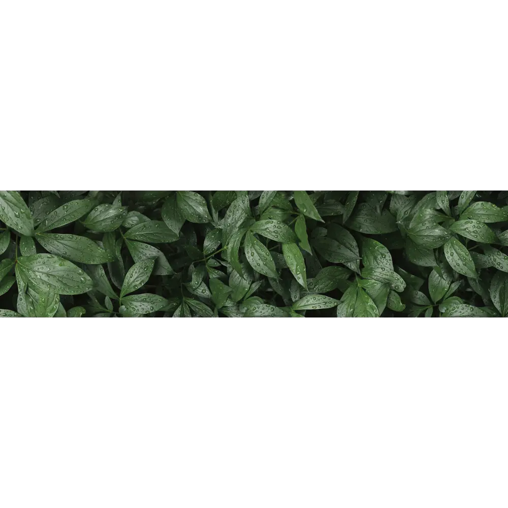 Стеновая панель Botanical Gar 240x0.4x60 см АКП цвет зеленый ALUMOART STLM-2065918 - Вид №2