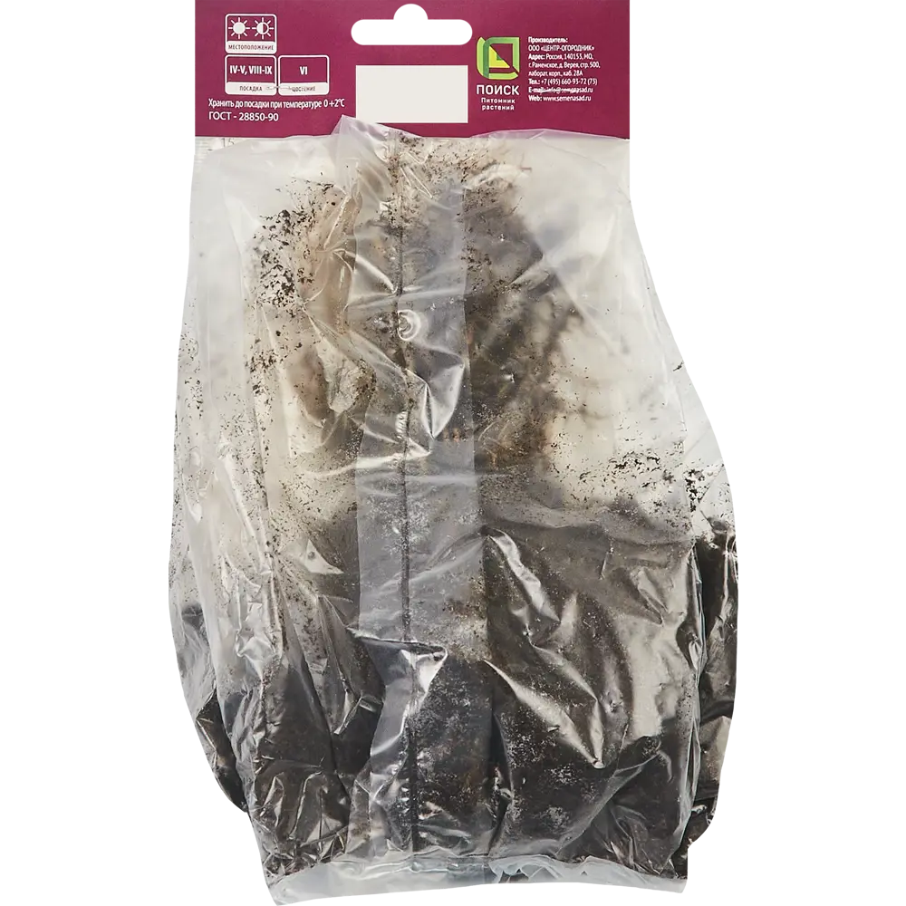 Ирис сибирский Пеплишес от ПОИСК — изящное украшение сада с фиолетовыми цветами 86410660 STLM-1573863 - Вид №1