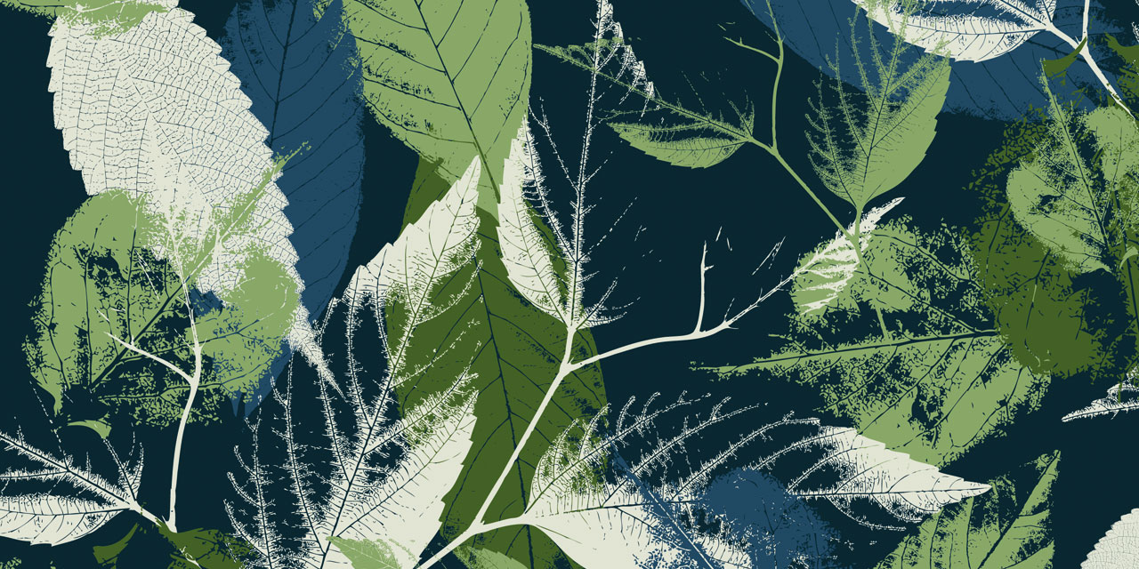 Стеновые панели - Клематис LIGRON LIST133 2210