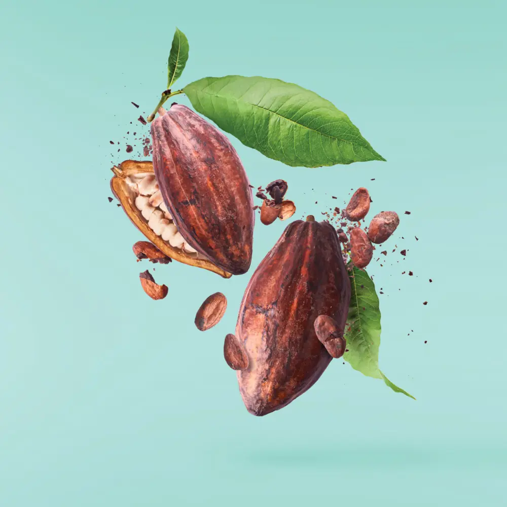 Картина на стекле Какао-Бобы 30x30 см POSTERMARKET STLM-2190662