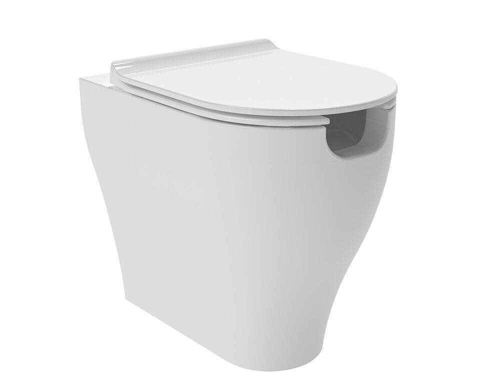 Напольный керамический туалет Ceramica Flaminia APP SOLUTION ARCH-00048157