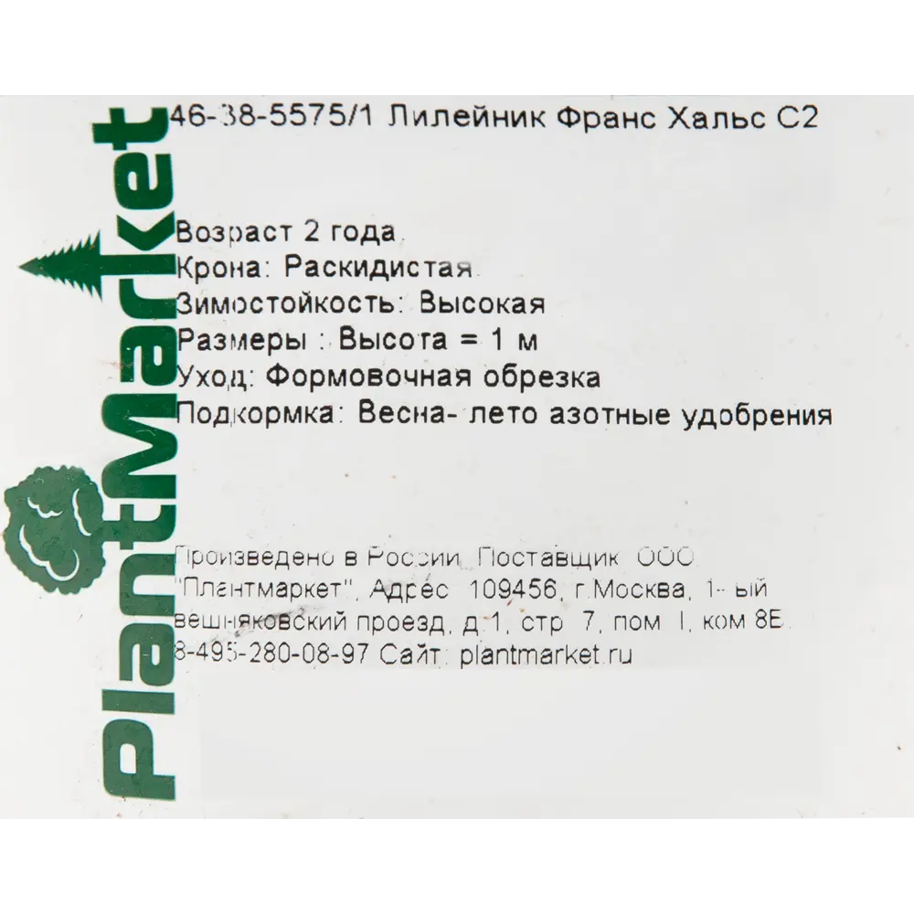 Лилейник «Франс Хальс» 15x45 см PLANTMARKET STLM-2078218 - Вид №1
