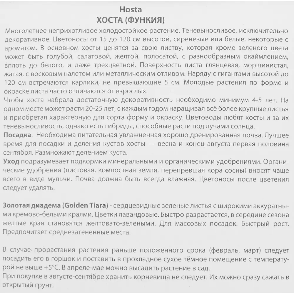 Хоста гибридная Голден Тиара ПОИСК STLM-2136278 - Вид №2