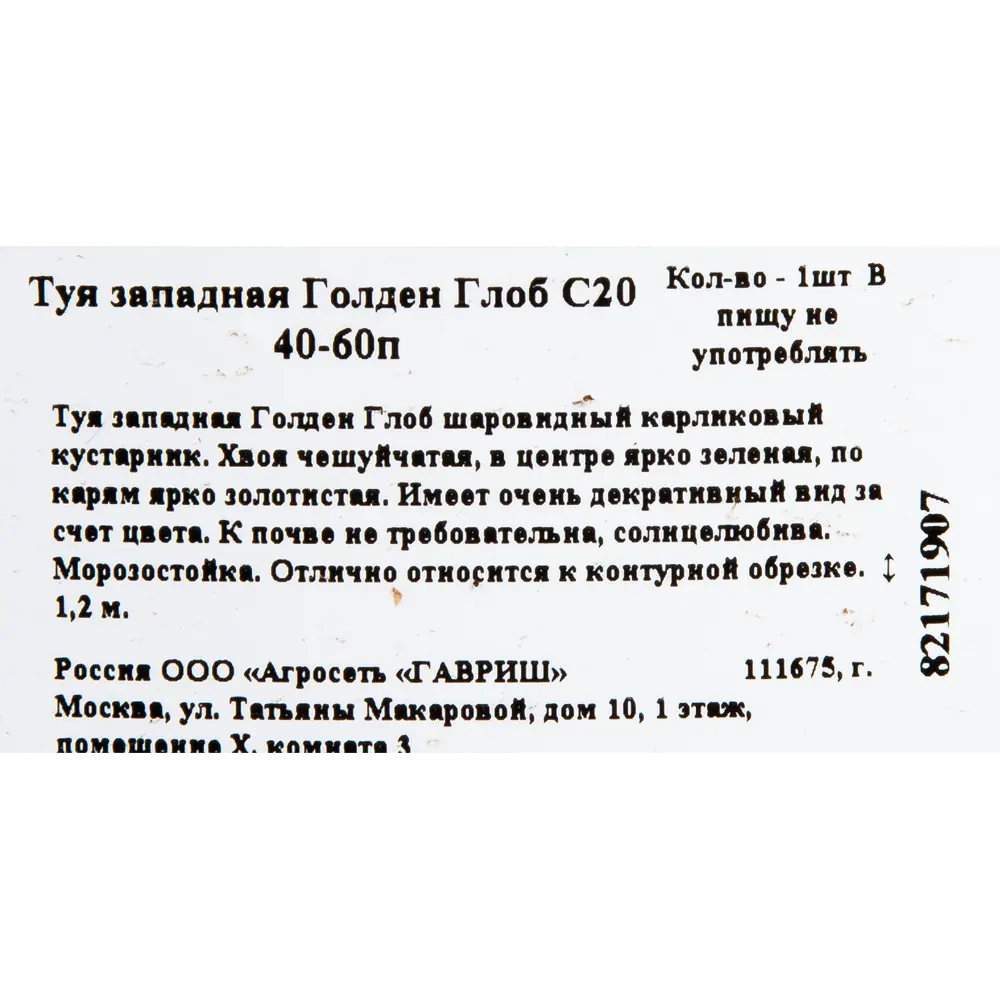 Туя западаная «Голден Глоб» C20 40-60 см ГАВРИШ STLM-2039964 - Вид №1