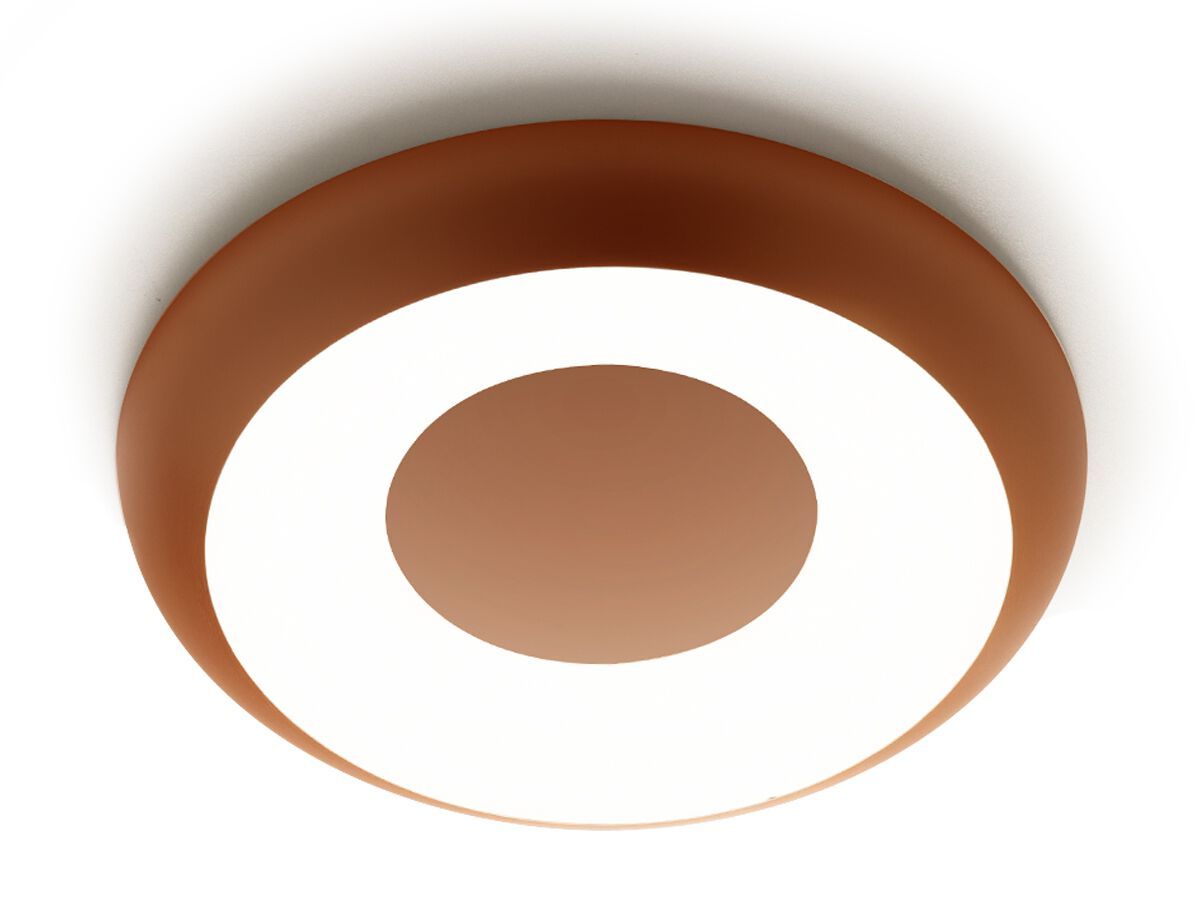 Настенный светильник / потолочный светильник с порошковым покрытием Panzeri Superbold ARCH-00106734 - Вид №14