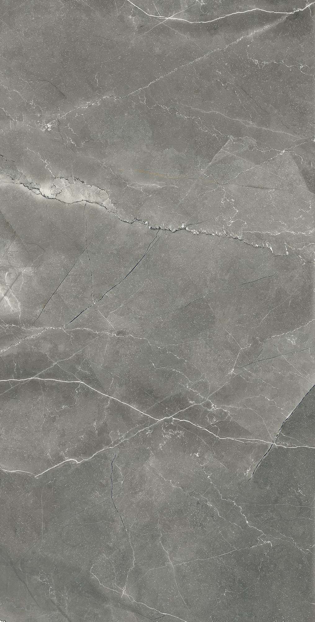 Керамогранит PULPIS NERO CARVING 60х120 Arcadia Ceramica CR4002-A STLM-1356915 89396419 - Вид №3