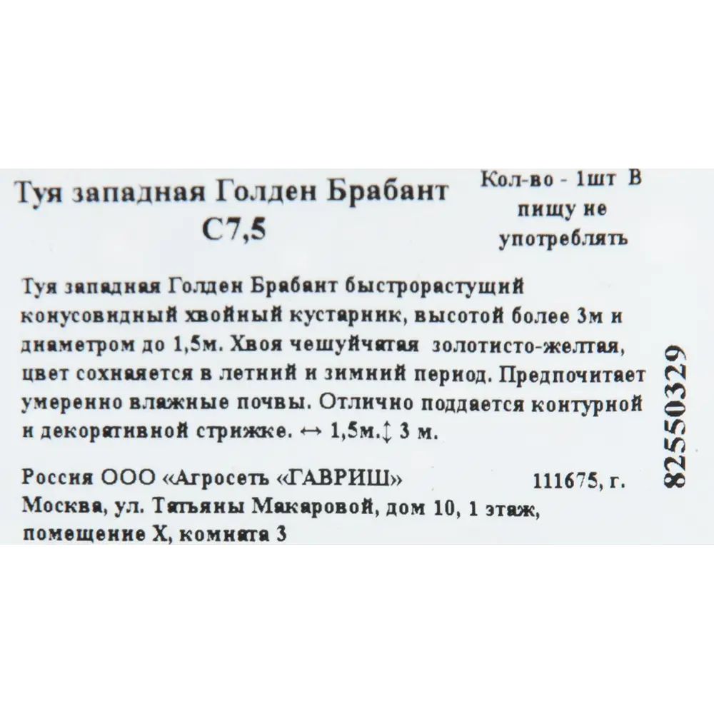 Туя западная «Голден Брабант» 22x50 см ГАВРИШ STLM-2197952 - Вид №1