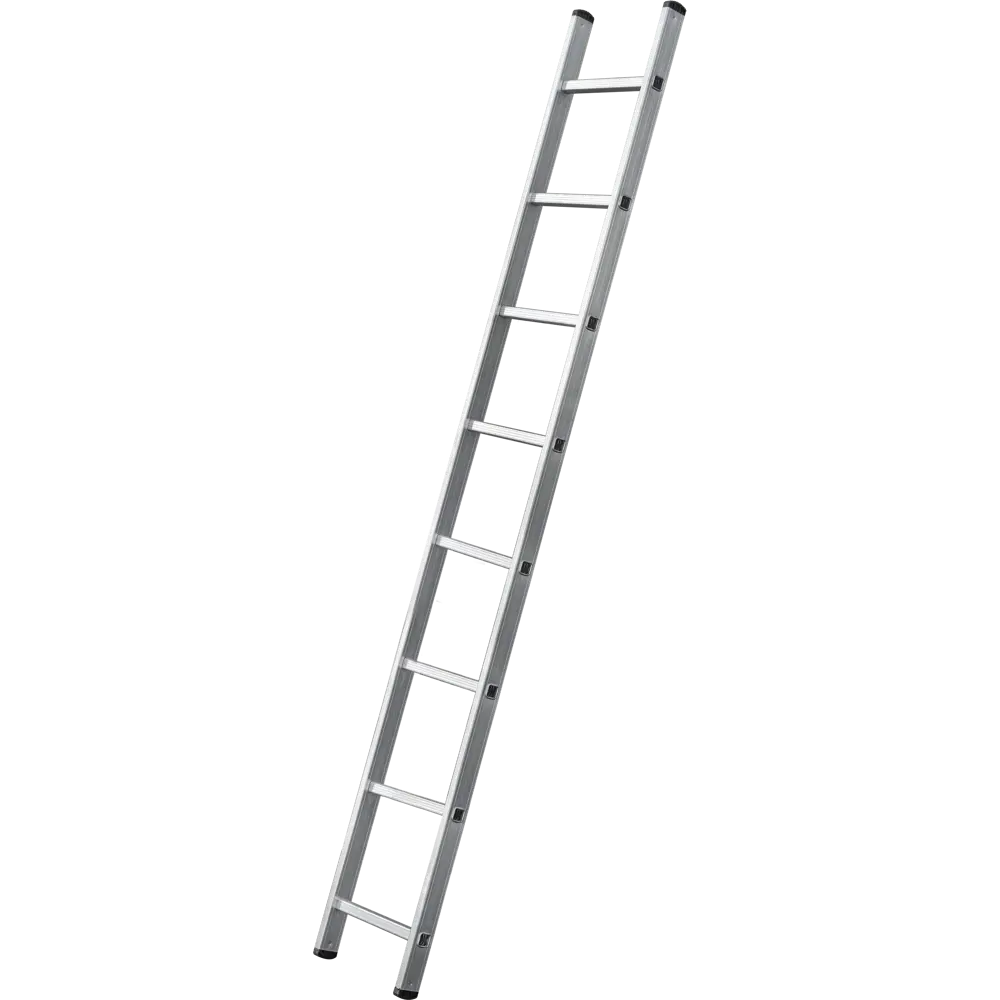 Лестница приставная 1-секционная DILWIS 8 ступеней максимальная нагрузка 150 кг STLM-2038447 - Вид №1