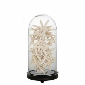Статуэтка декоративная стеклянная 60х24 см прозрачная Bell Jar Catania EICHHOLTZ EICHHOLTZ 059700 Прозрачный;черный