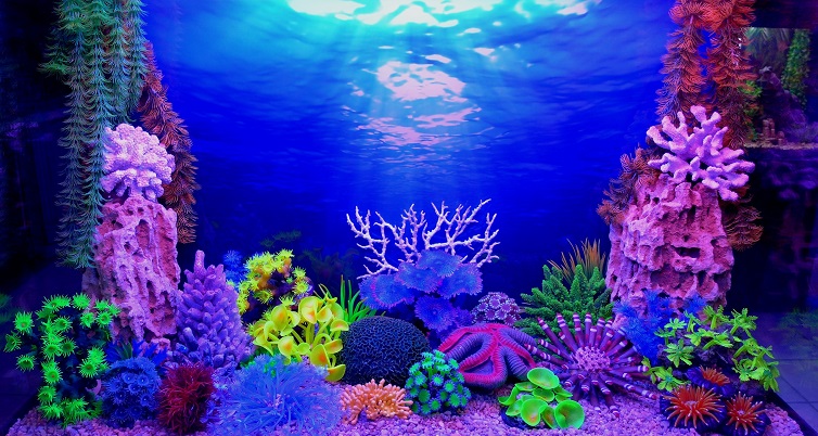 Цветной грунт для аквариума: как использовать в оформлении