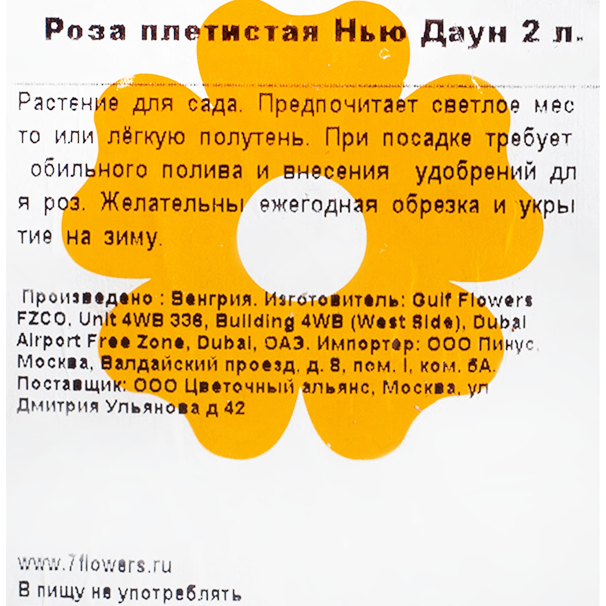 82155590 Роза плетистая Нью Даун 2 л Santreyd  - Вид №1