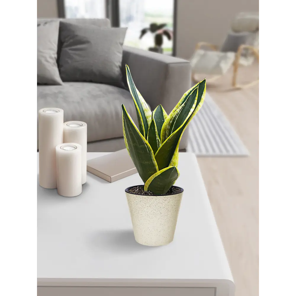 Кашпо Homver London ø16 h14.5 см v1.6л пластик светло-бежевый STLM-2083554 - Вид №3