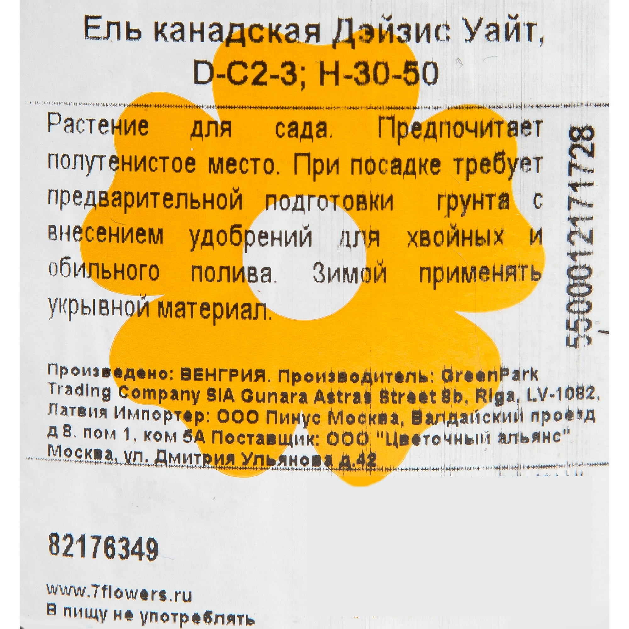 82176349 Ель канадская «Дэйзис Уайт» 2-3 л 30-50 см Santreyd  - Вид №1