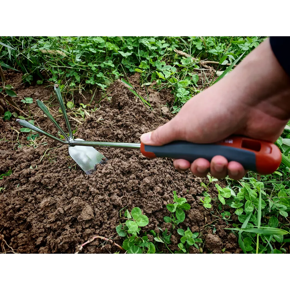 Культиватор BEGINIA сталь 8.5 см STLM-2192181 - Вид №5