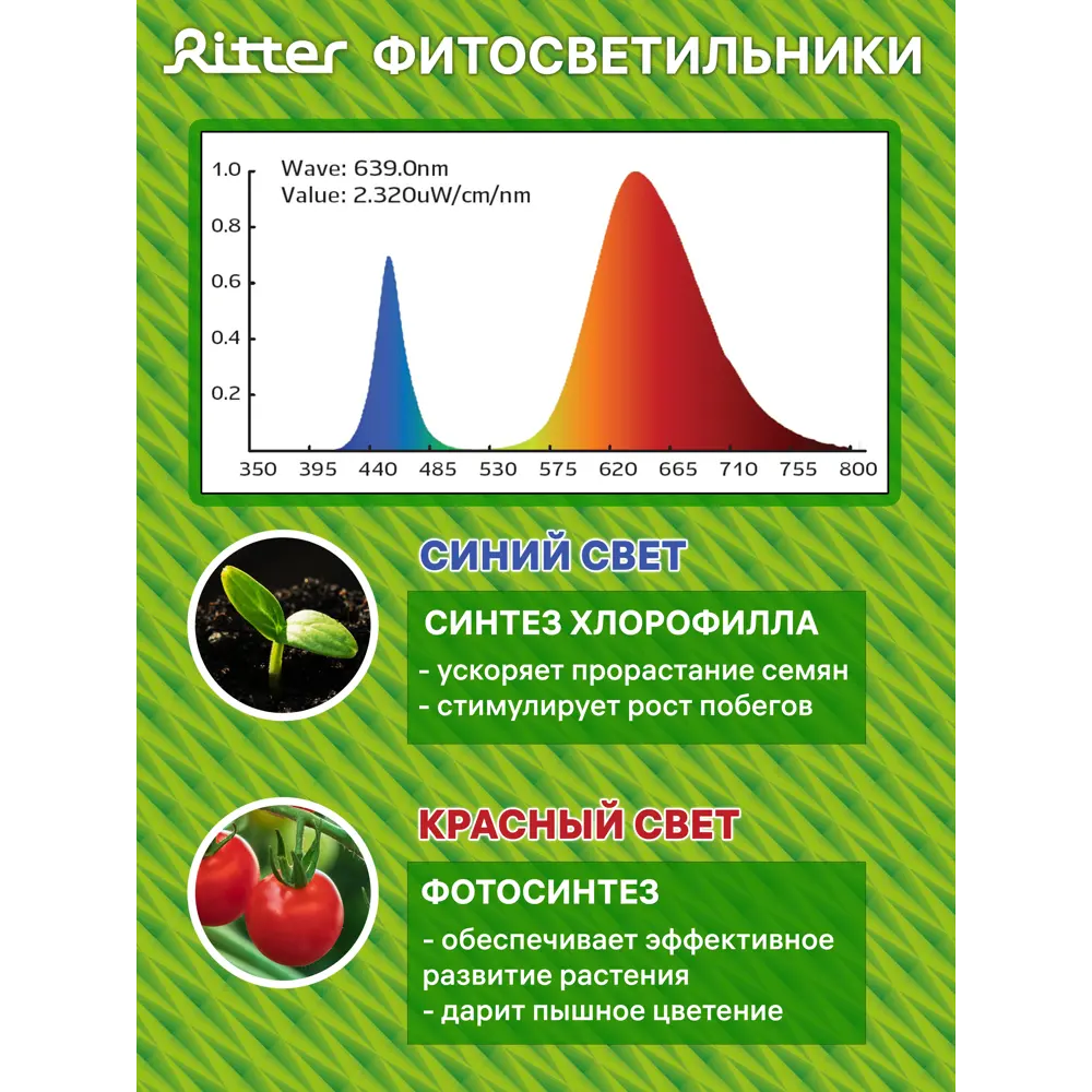 Фитосветильник линейный светодиодный Ritter 10 Вт 572 мм на кронштейне с присосками 56300 6  красно-синий спектр розовый свет STLM-2043781 - Вид №12