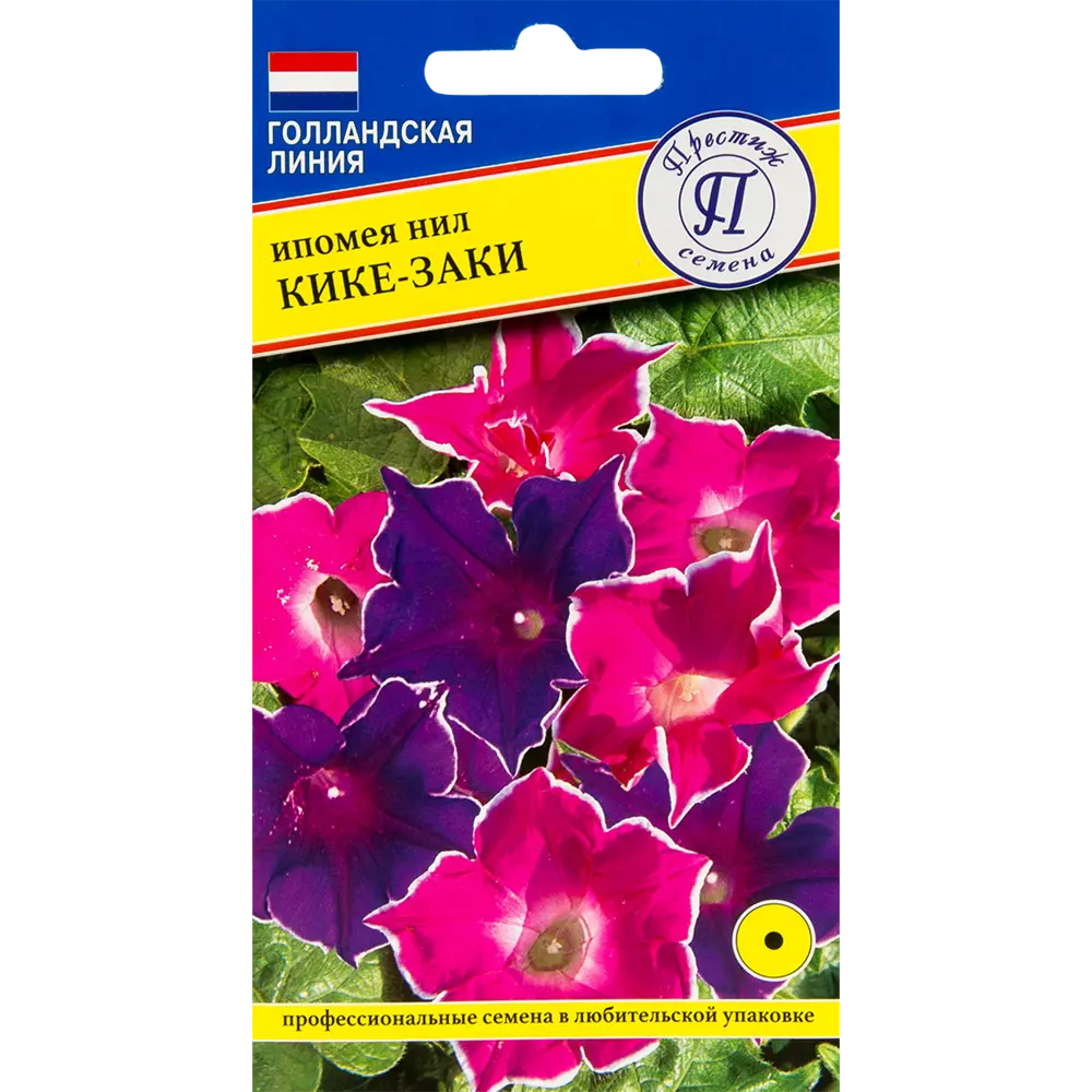 Ипомея «Кике-Заким» 14383073 STLM-2020924 Santreyd 