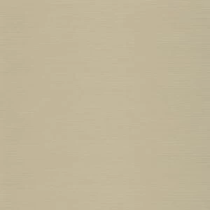 Ампато олива структурированная 600x600