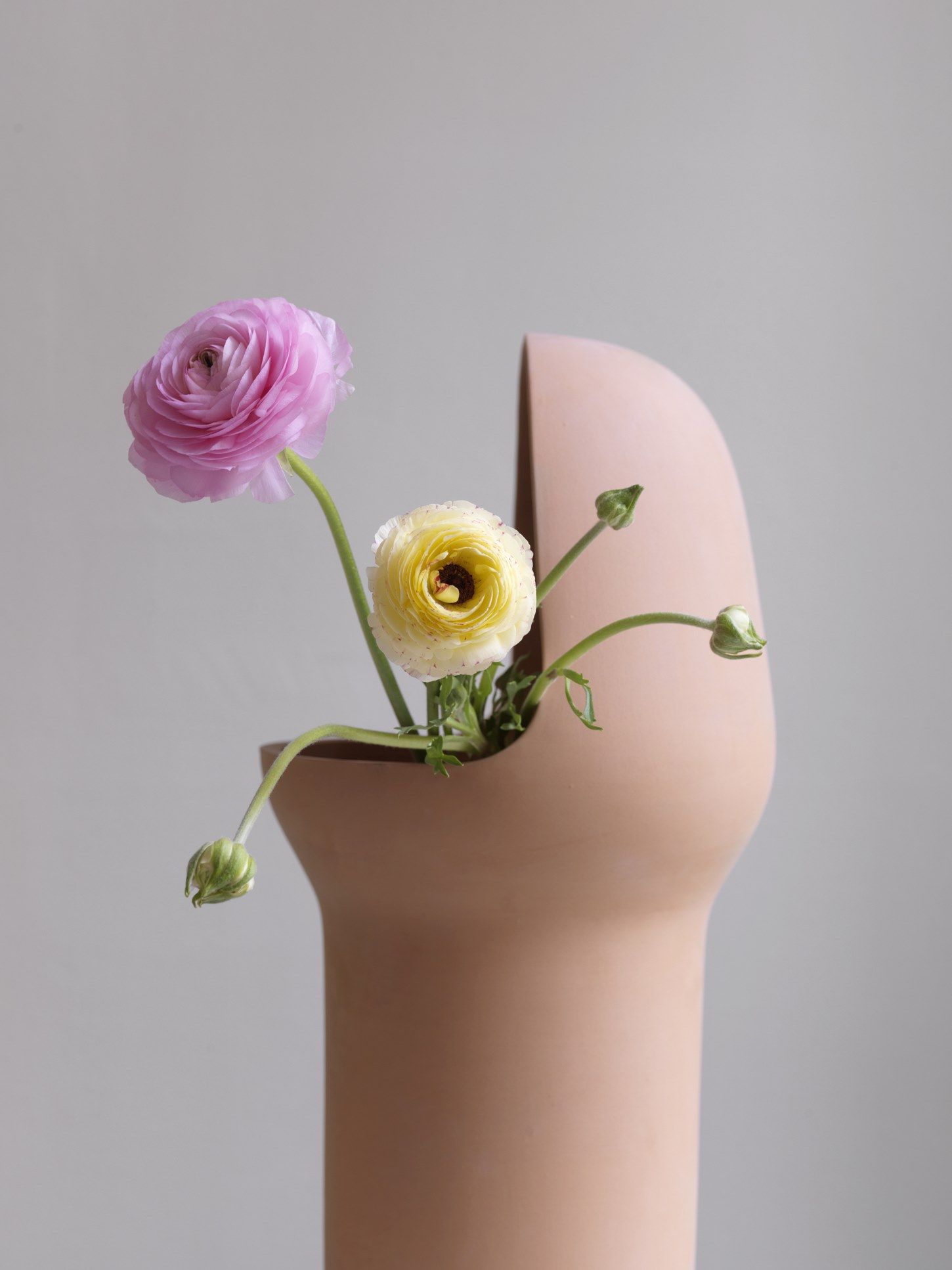 Низкий терракотовый садовый горшок BD Barcelona GARDENIAS N.1 ARCH-00098568 - Вид №2