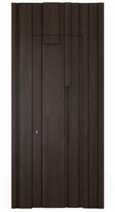 DWFI Дверь из фанерованной древесины  00002625