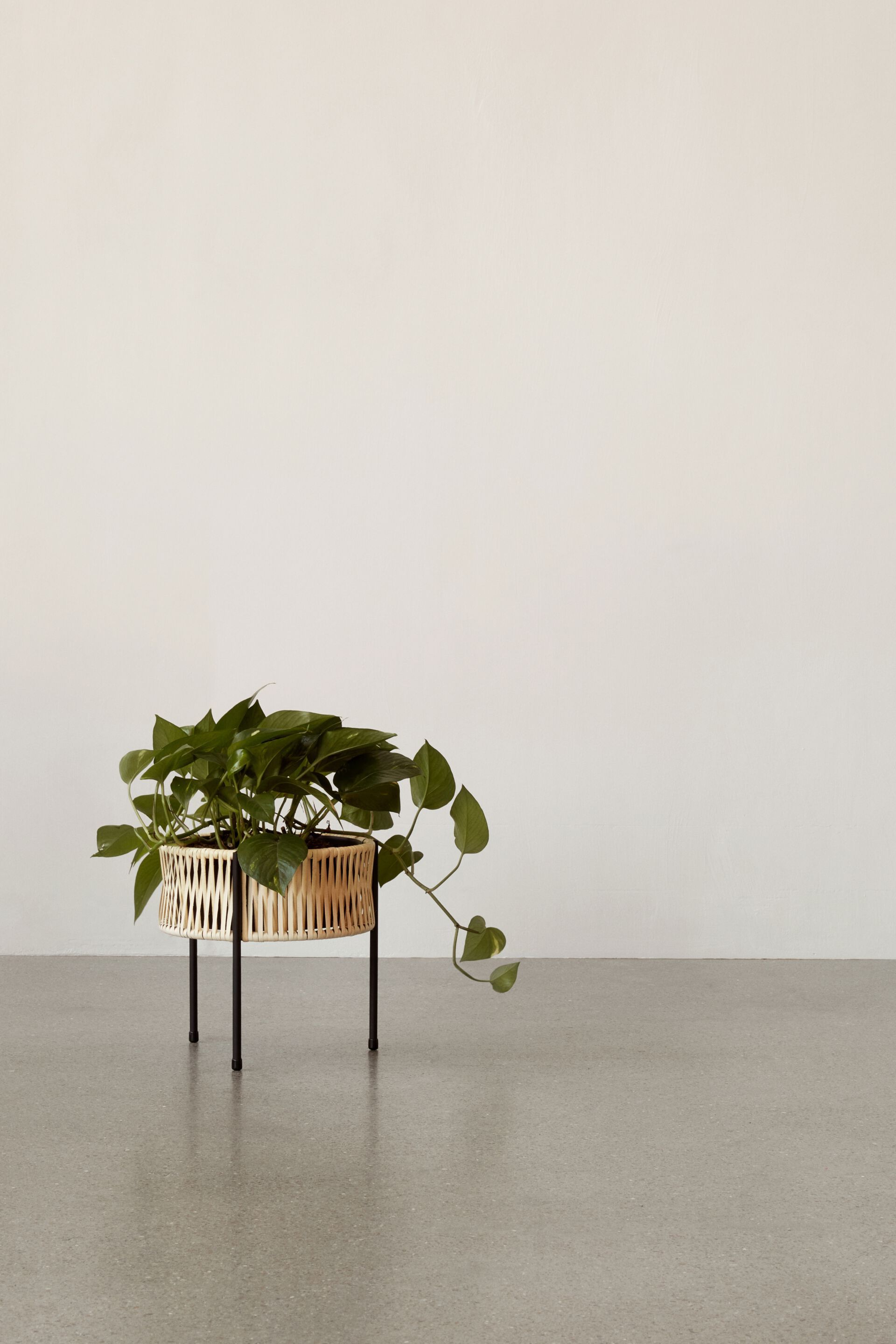 Стальная и ротанговая круглая подставка для горшков Audo Copenhagen Umanoff ARCH-00048975 - Вид №12