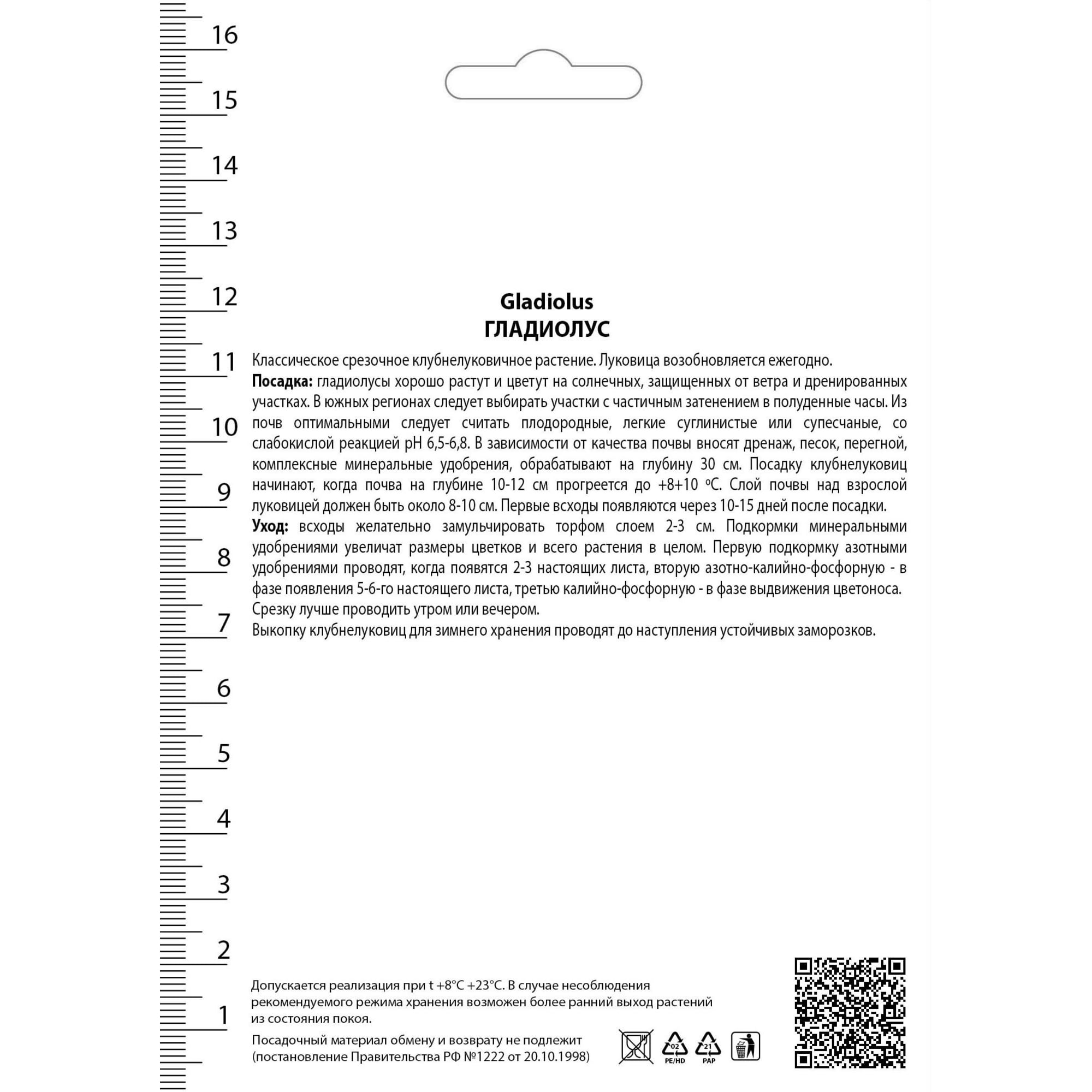 82530175 Гладиолусы крупноцветковые Платини Santreyd  - Вид №1