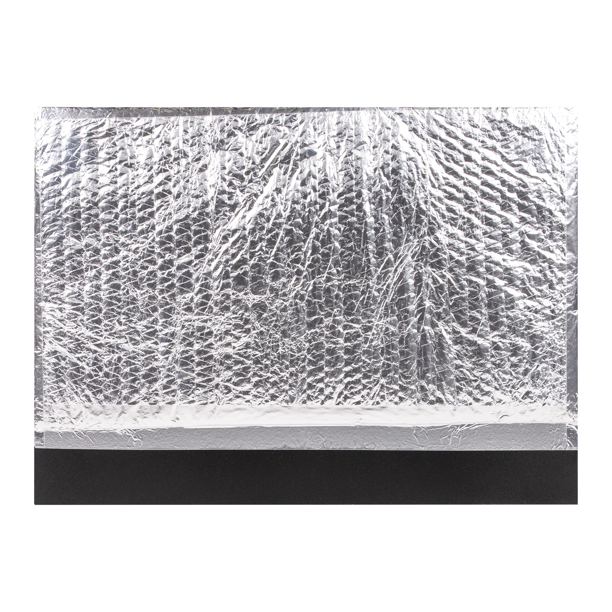 9101976 Биокамин Firelight BFP/P-2520 черный STDN-0006397 - Вид №5