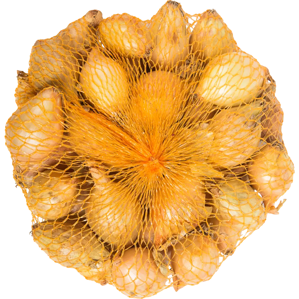 Лук-севок Коррадо F1 450 г ПРЕСТИЖ СЕМЕНА STLM-2107635 - Вид №1