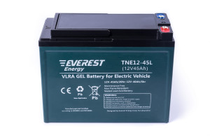 17376564 Тяговые аккумуляторные батареи TNE12-45L EVEREST Energy