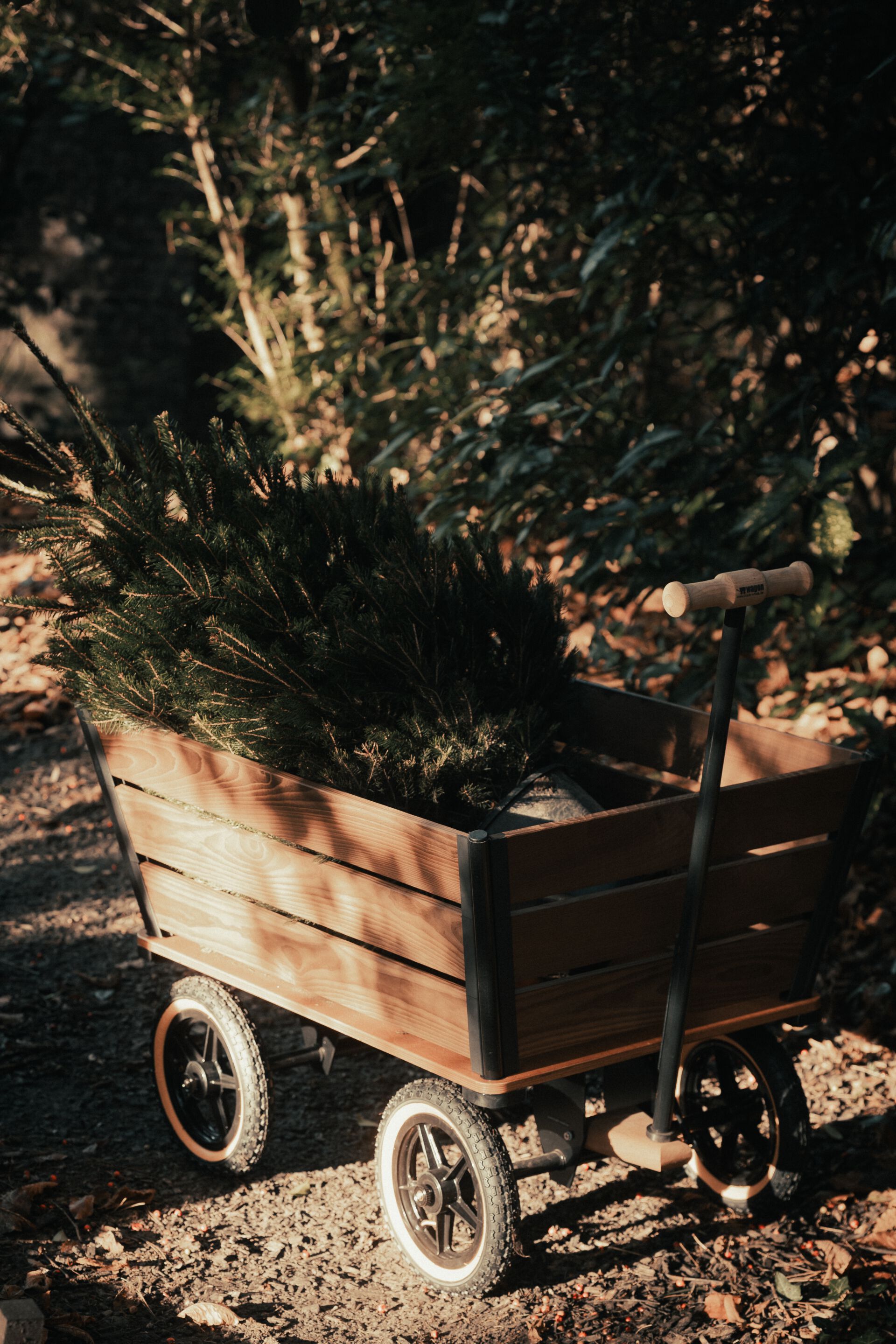 Садовая тележка TRADEWINDS THE PLANK WAGON ARCH-00043245 - Вид №8