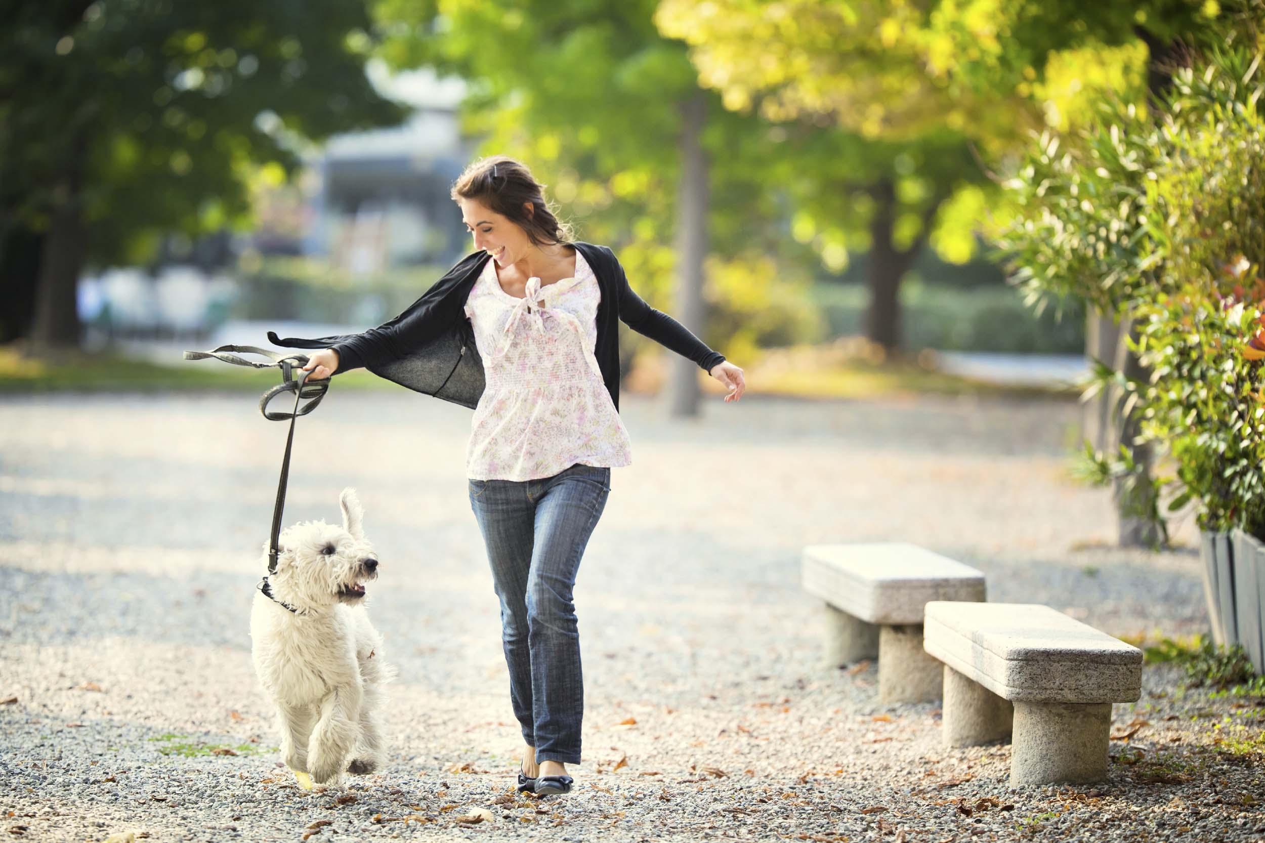 Pet student. Прогулка с собакой. Гулять с собакой. Фотосессия прогулка с собакой. Девушка гуляет с собакой.