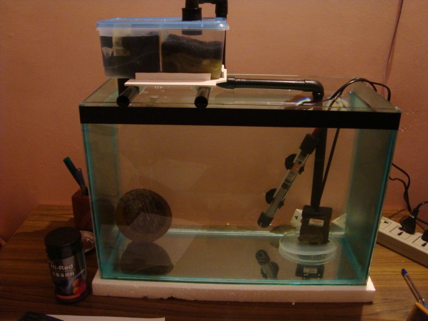 Внешний фильтр для аквариума: пошаговые инструкции