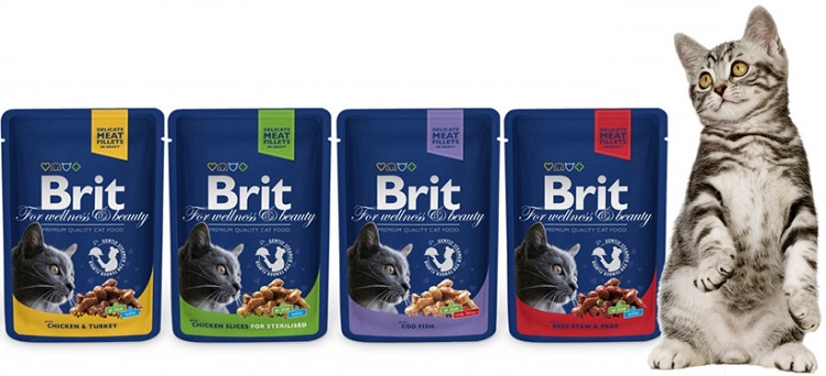 Brit grain free veterinary diet