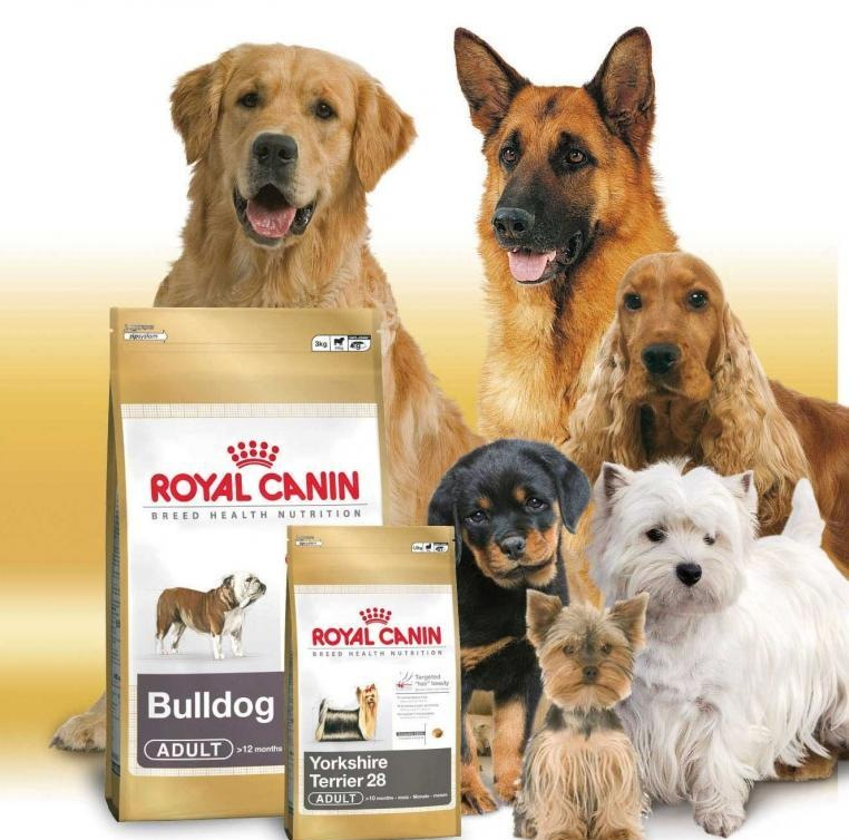 Корм для собак нова. Роял Канин реклама. Собачий корм. Порода собак в рекламе Роял Канин. Корм для кошек и собак.