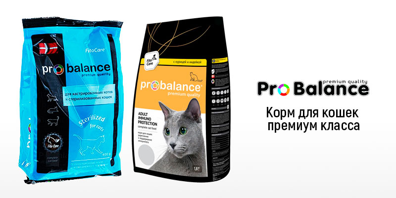 Probalance для кошек купить. ПРОБАЛАНС сухой корм для кошек. PROBALANCE состав корма для кошек. Беззерновой корм для кошек супер премиум. ПРОБАЛАНС фиолетовый для кошек.