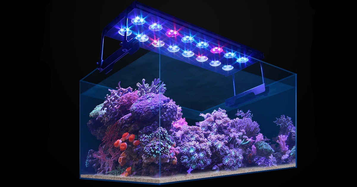 Светильник аквариум морской риф. Aquarium light78w WIFI. Аквафишка светильник для аквариума светодиодный. Светильник для морского аквариума.